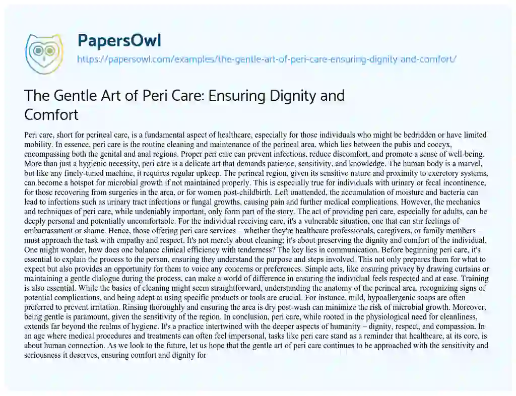 Essay on The Gentle Art of Peri Care: Ensuring Dignity and Comfort