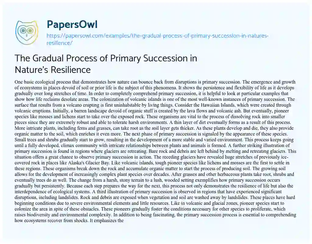 The Gradual Process of Primary Succession in Nature's Resilience - Free ...