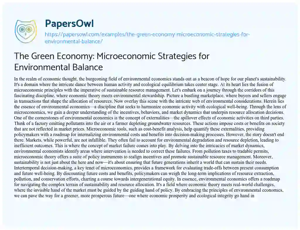 Essay on The Green Economy: Microeconomic Strategies for Environmental Balance