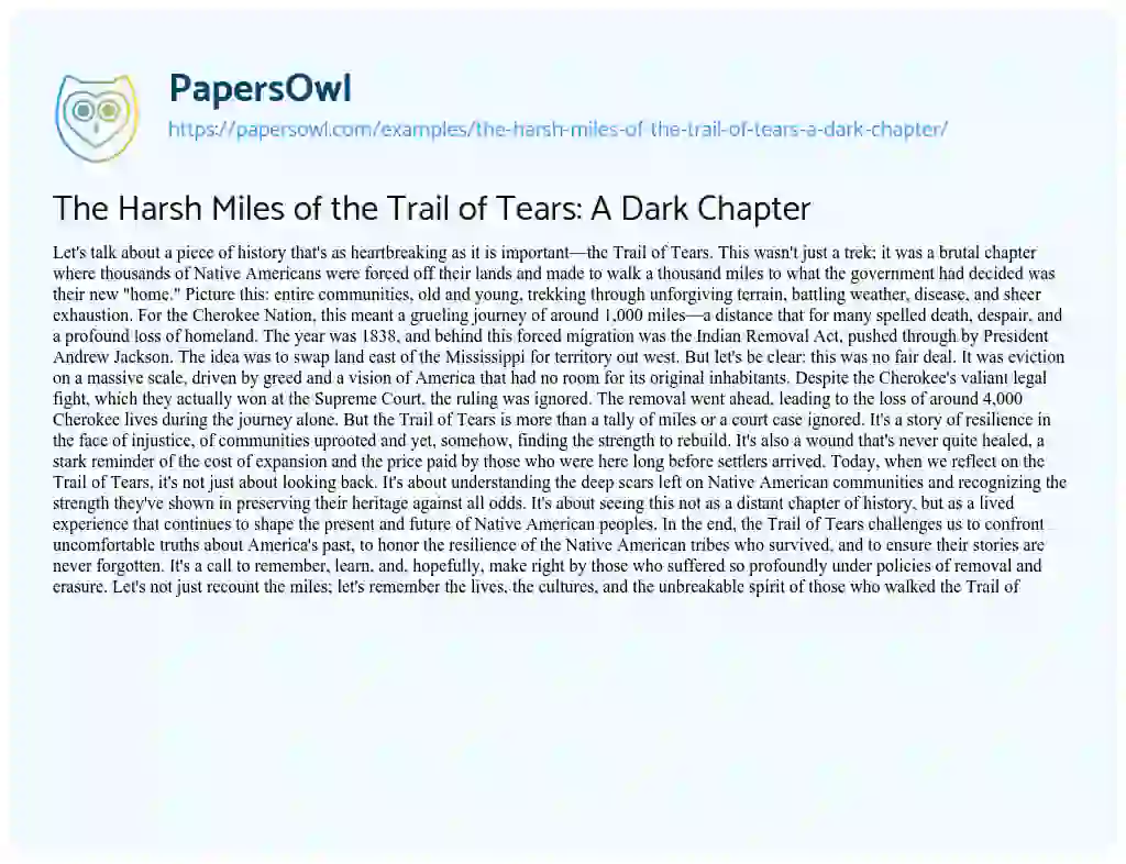 Essay on The Harsh Miles of the Trail of Tears: a Dark Chapter