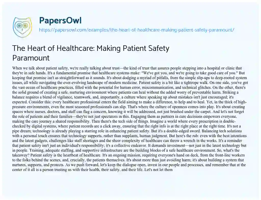 Essay on The Heart of Healthcare: Making Patient Safety Paramount