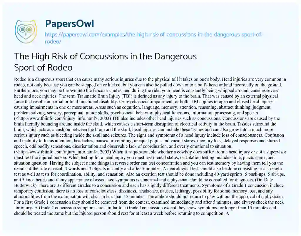 The High Risk of Concussions in the Dangerous Sport of Rodeo essay