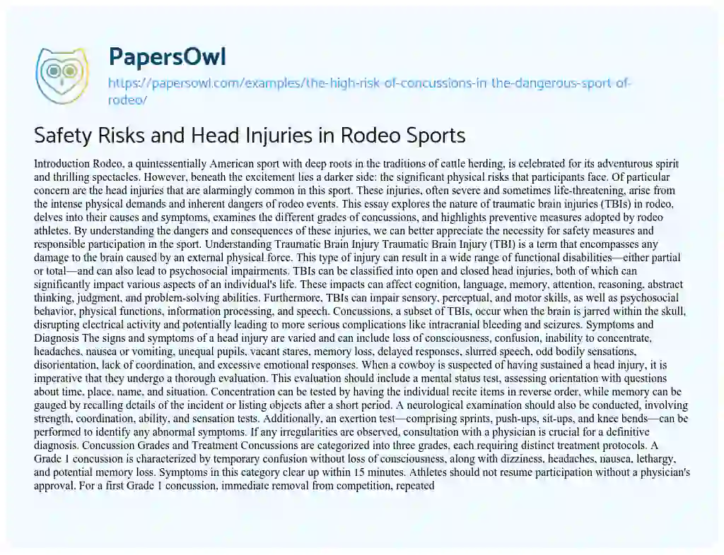 Essay on The High Risk of Concussions in the Dangerous Sport of Rodeo