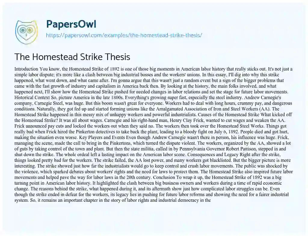 Essay on The Homestead Strike Thesis