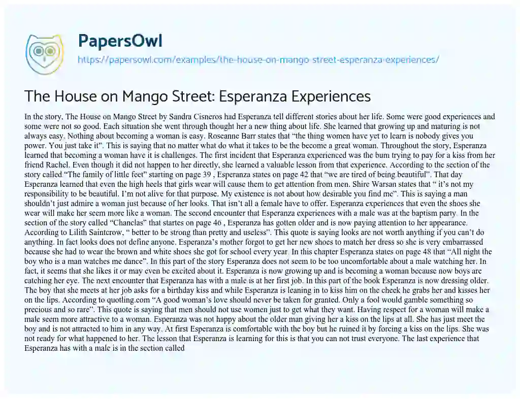 Essay on The House on Mango Street: Esperanza Experiences