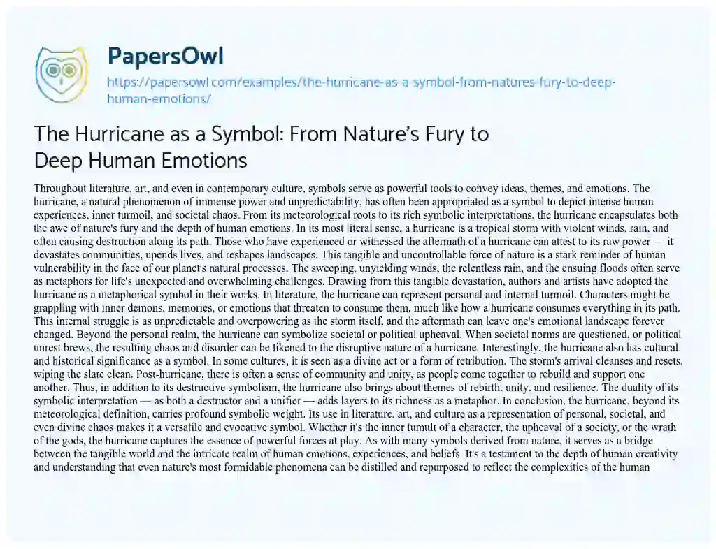 Essay on The Hurricane as a Symbol: from Nature’s Fury to Deep Human Emotions