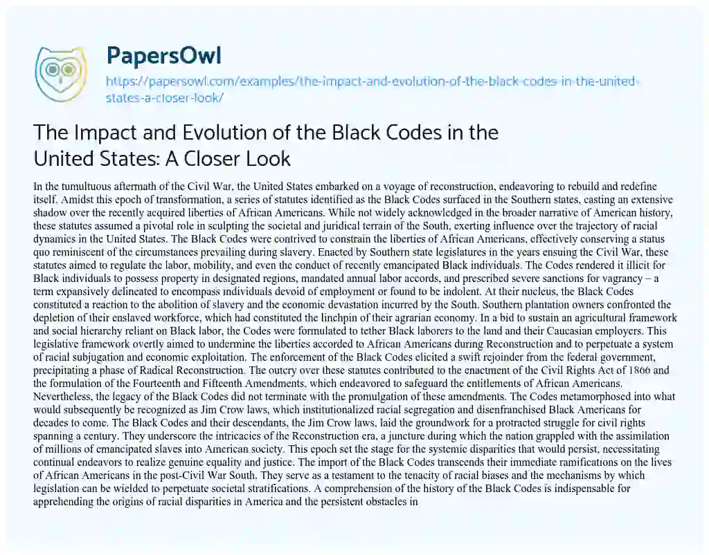 Essay on The Impact and Evolution of the Black Codes in the United States: a Closer Look