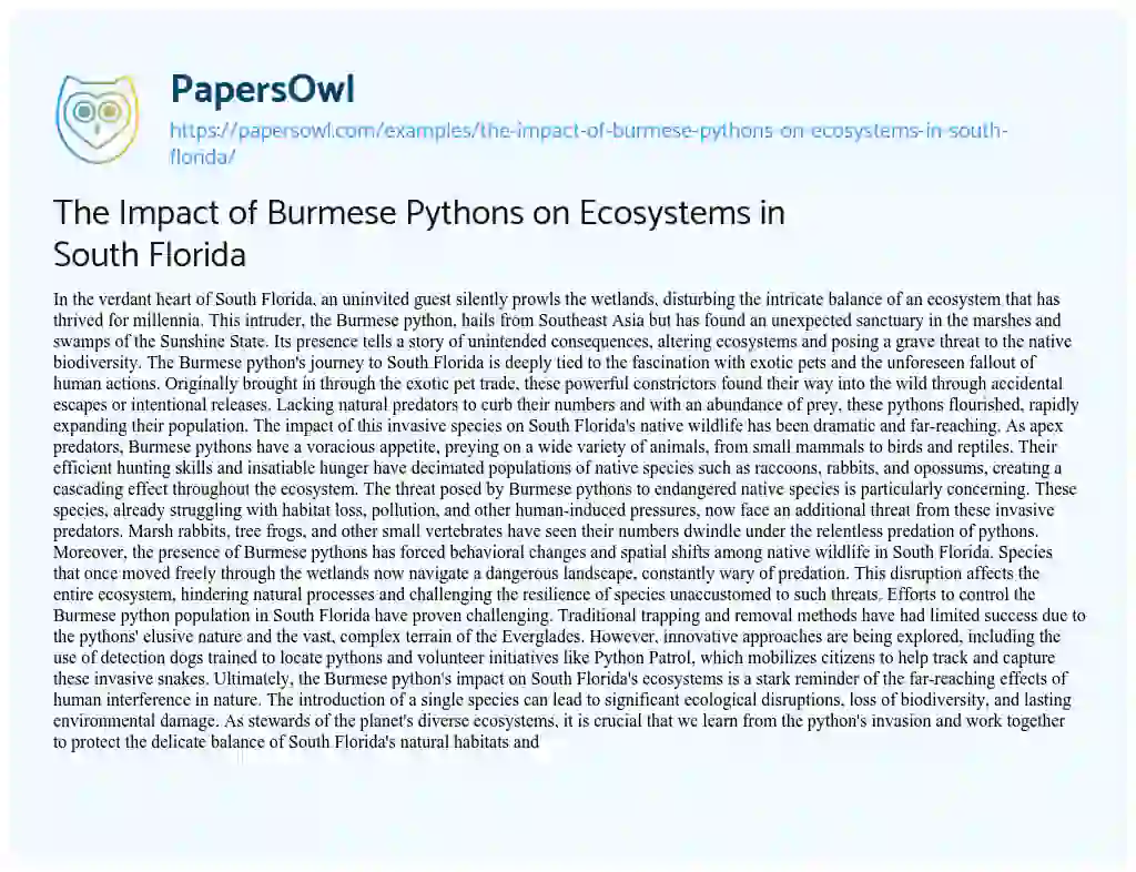 Essay on The Impact of Burmese Pythons on Ecosystems in South Florida