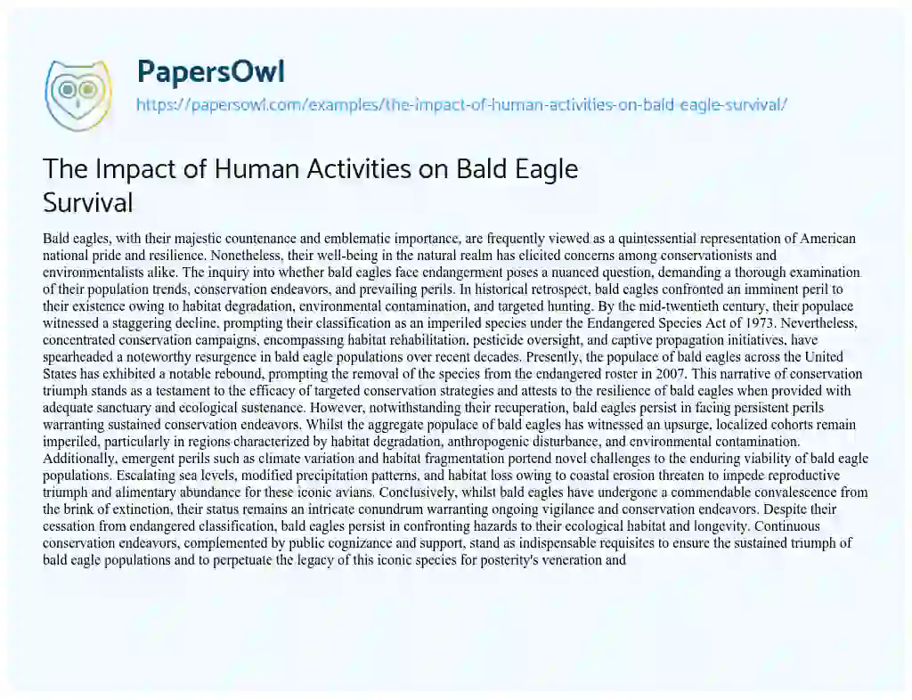 Essay on The Impact of Human Activities on Bald Eagle Survival