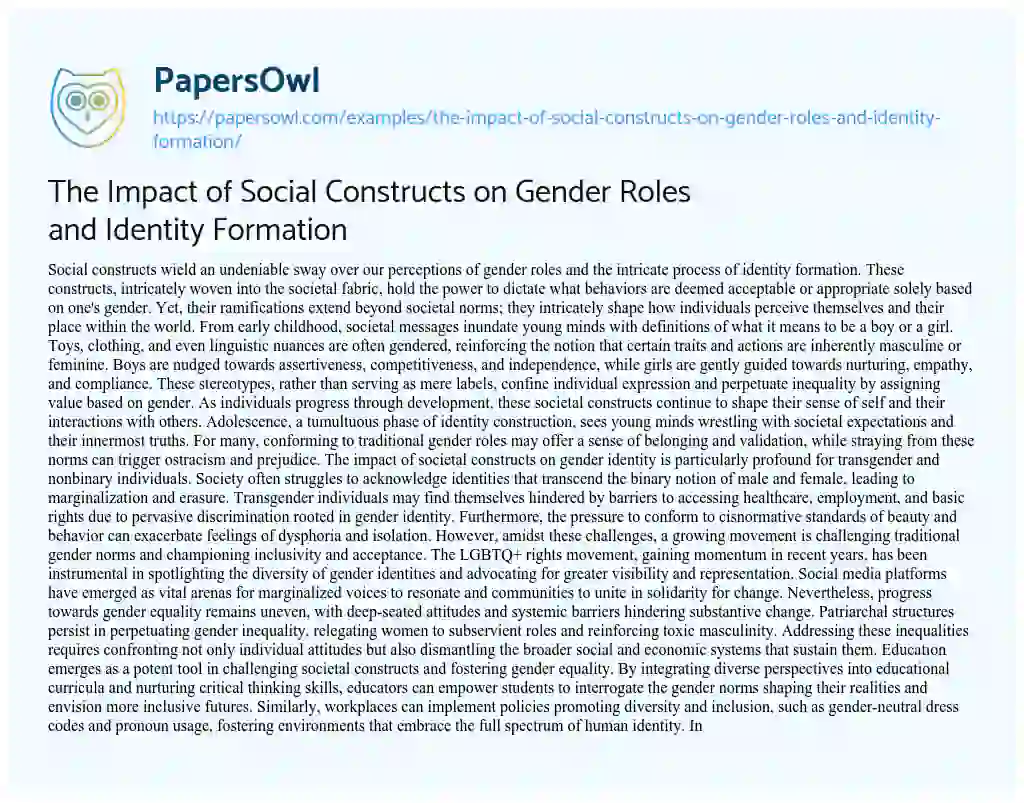 Essay on The Impact of Social Constructs on Gender Roles and Identity Formation