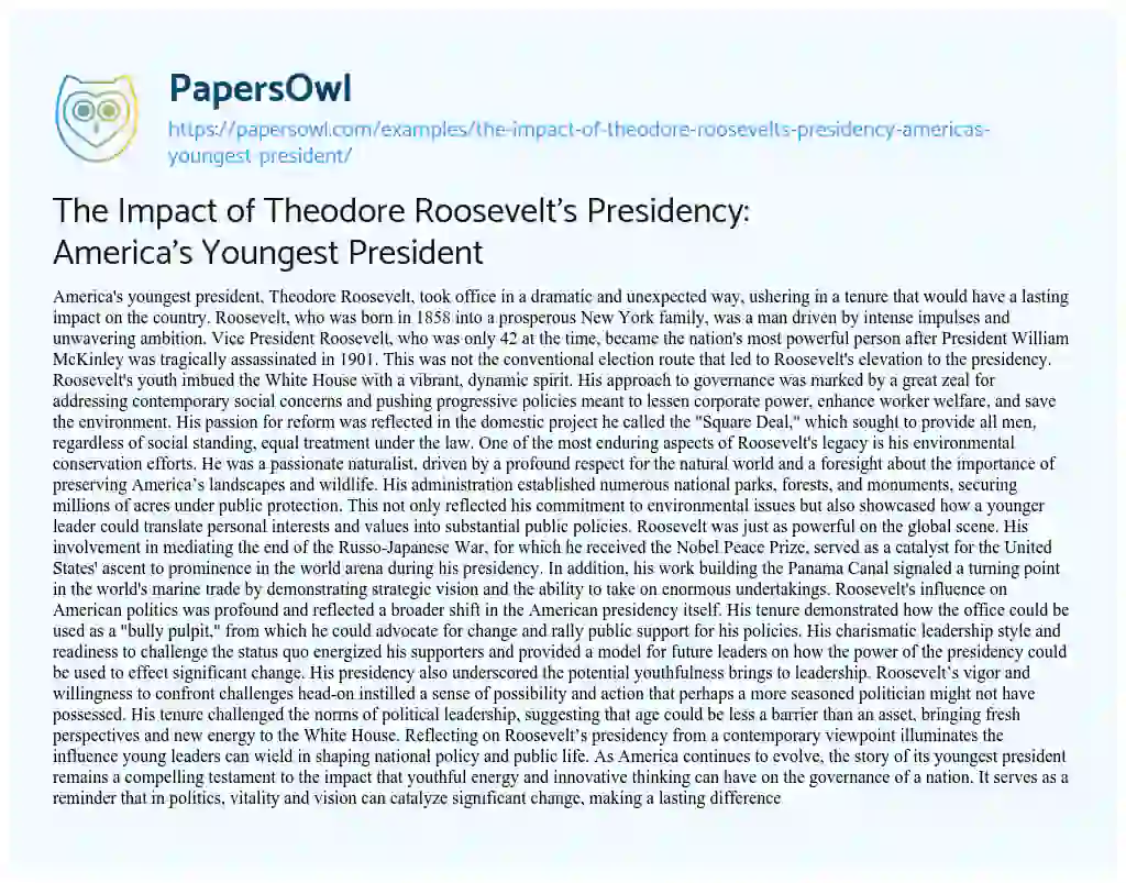 Essay on The Impact of Theodore Roosevelt’s Presidency: America’s Youngest President