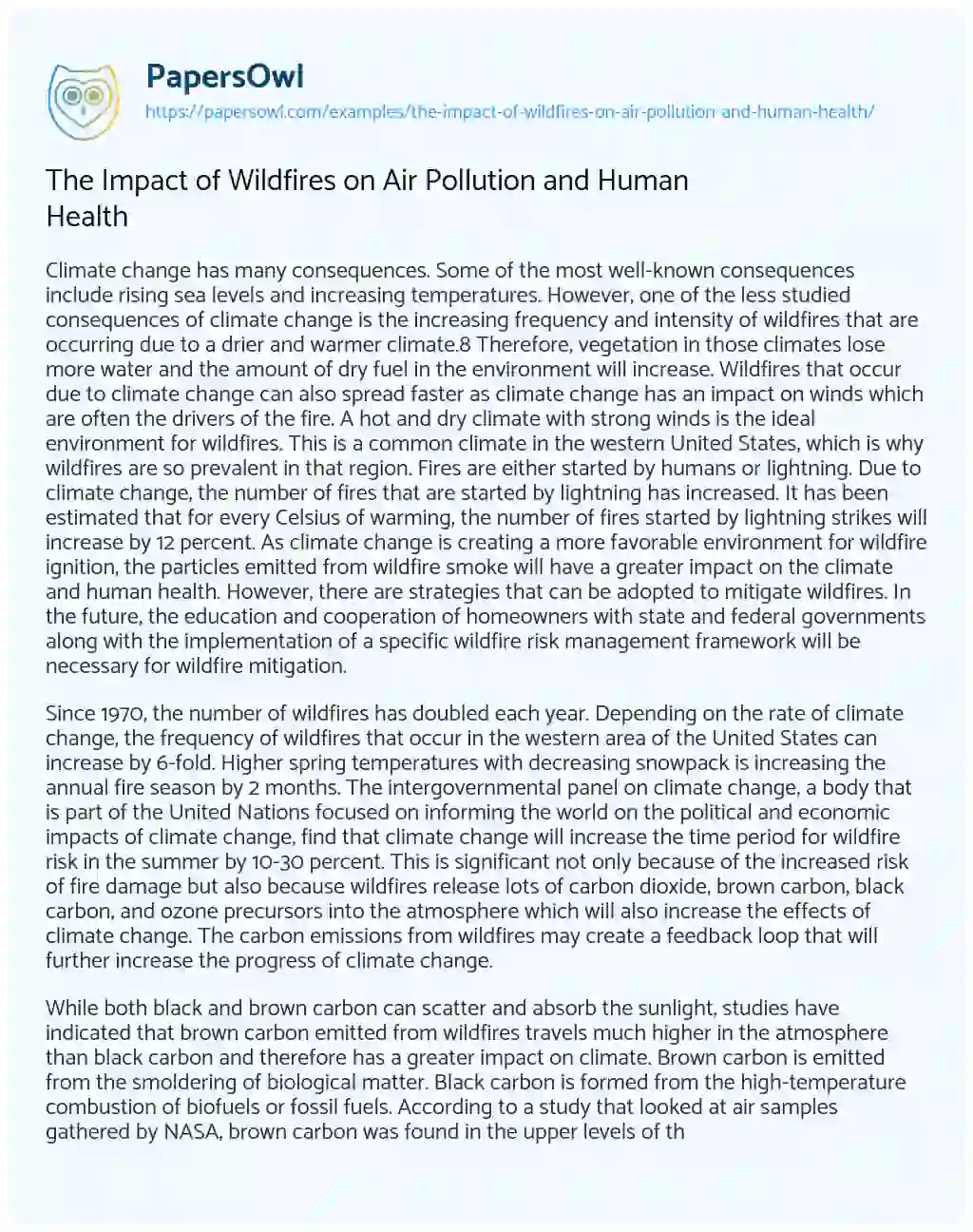 The Impact of Wildfires on Air Pollution and Human Health essay
