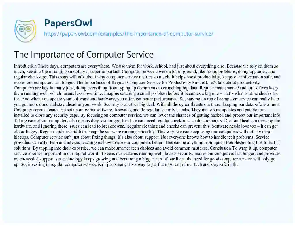 Essay on The Importance of Computer Service