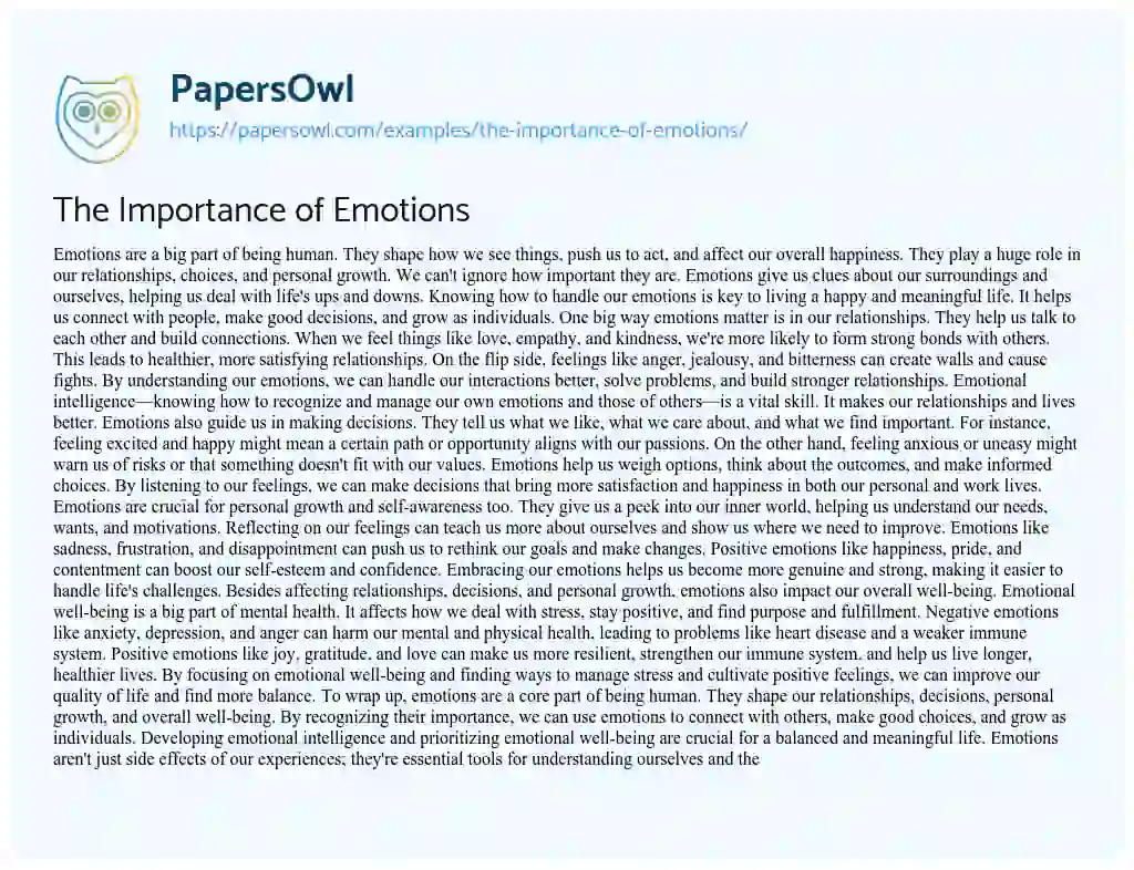 Essay on The Importance of Emotions