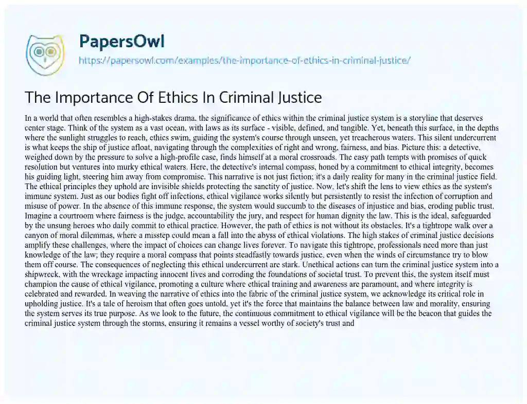 Essay on The Importance of Ethics in Criminal Justice