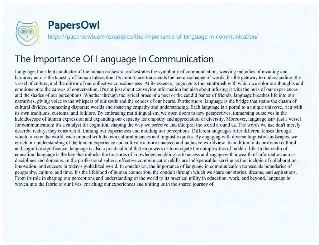 Essay on The Importance of Language in Communication