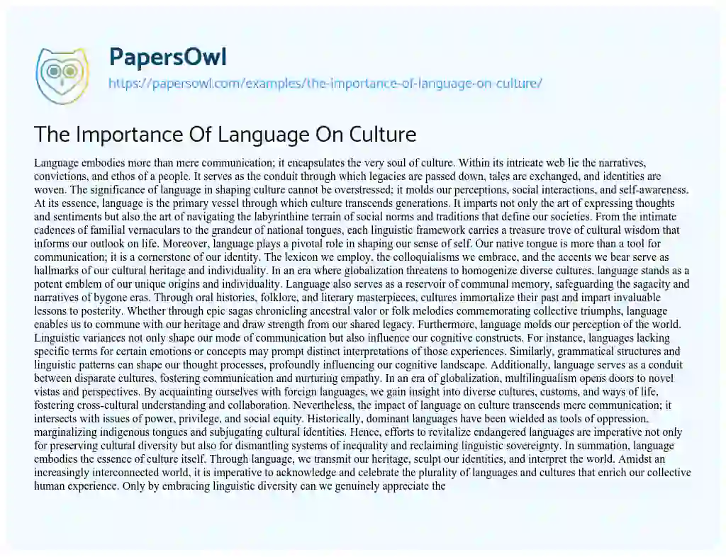 Essay on The Importance of Language on Culture