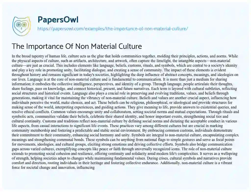 Essay on The Importance of Non Material Culture