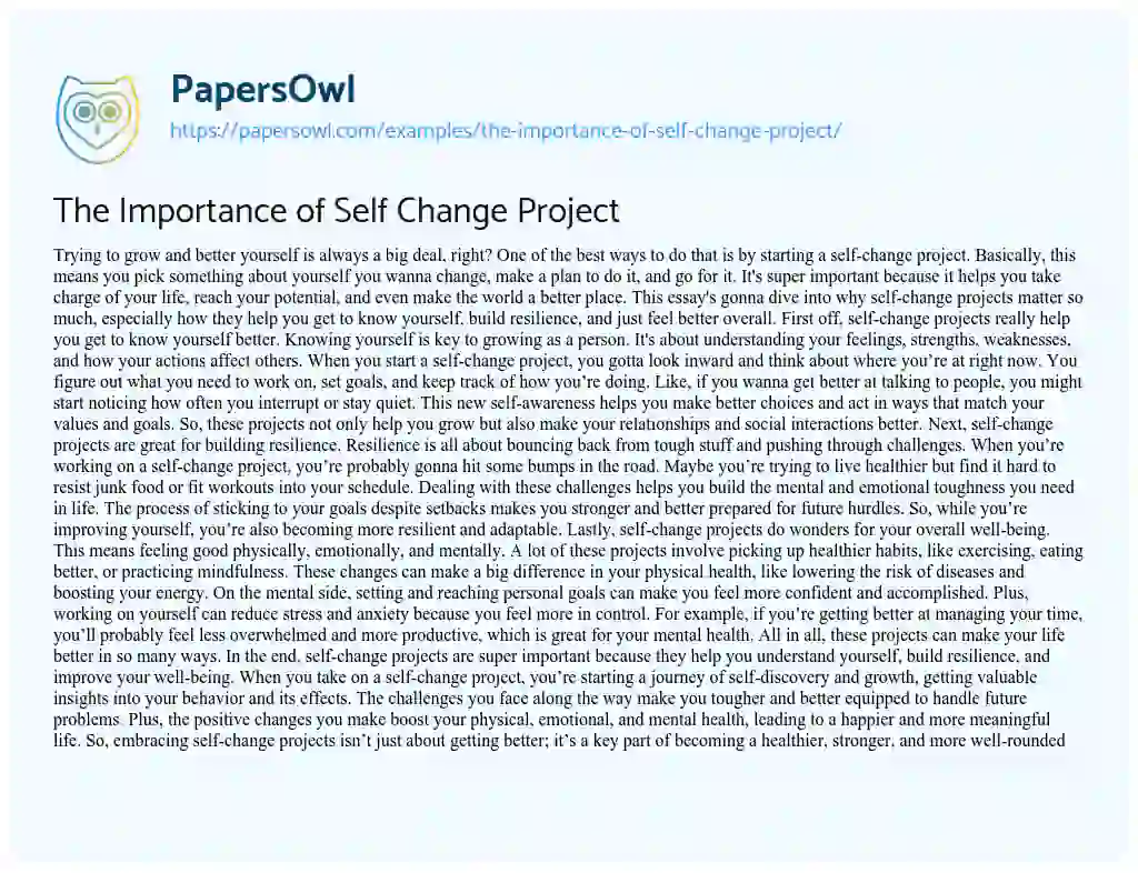 Essay on The Importance of Self Change Project