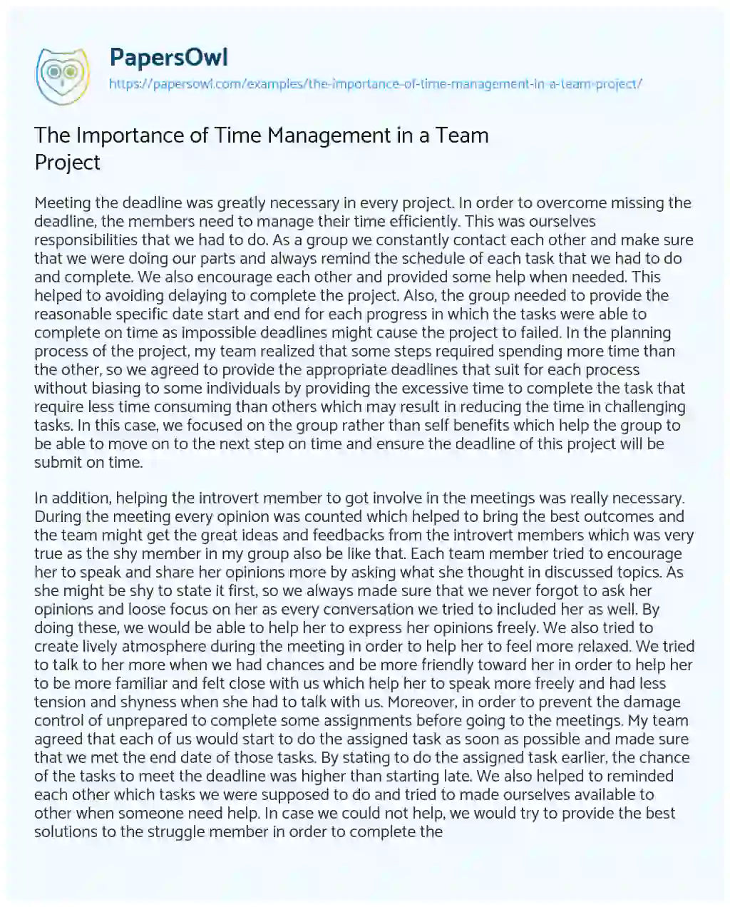 Essay on The Importance of Time Management in a Team Project