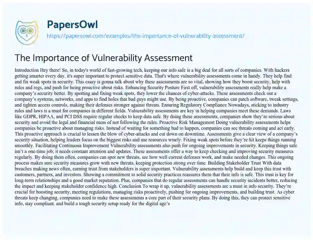 Essay on The Importance of Vulnerability Assessment