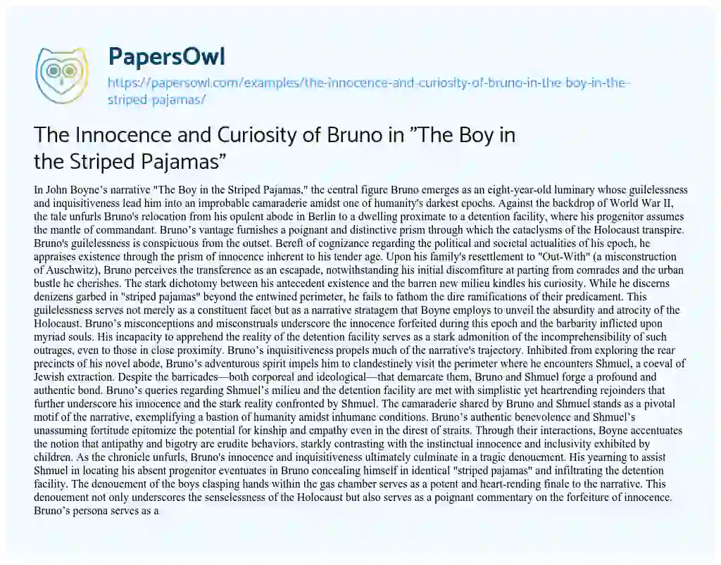 Essay on The Innocence and Curiosity of Bruno in “The Boy in the Striped Pajamas”