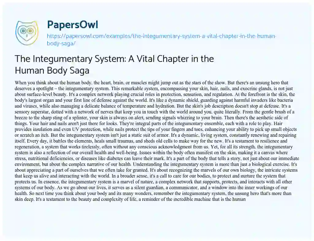 Essay on The Integumentary System: a Vital Chapter in the Human Body Saga