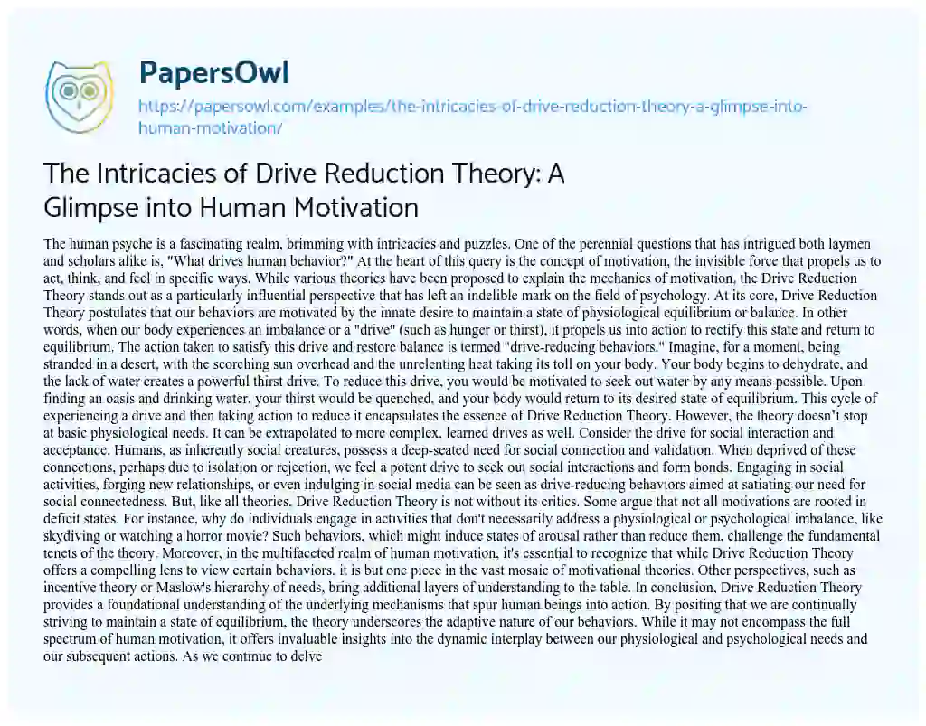 Essay on The Intricacies of Drive Reduction Theory: a Glimpse into Human Motivation