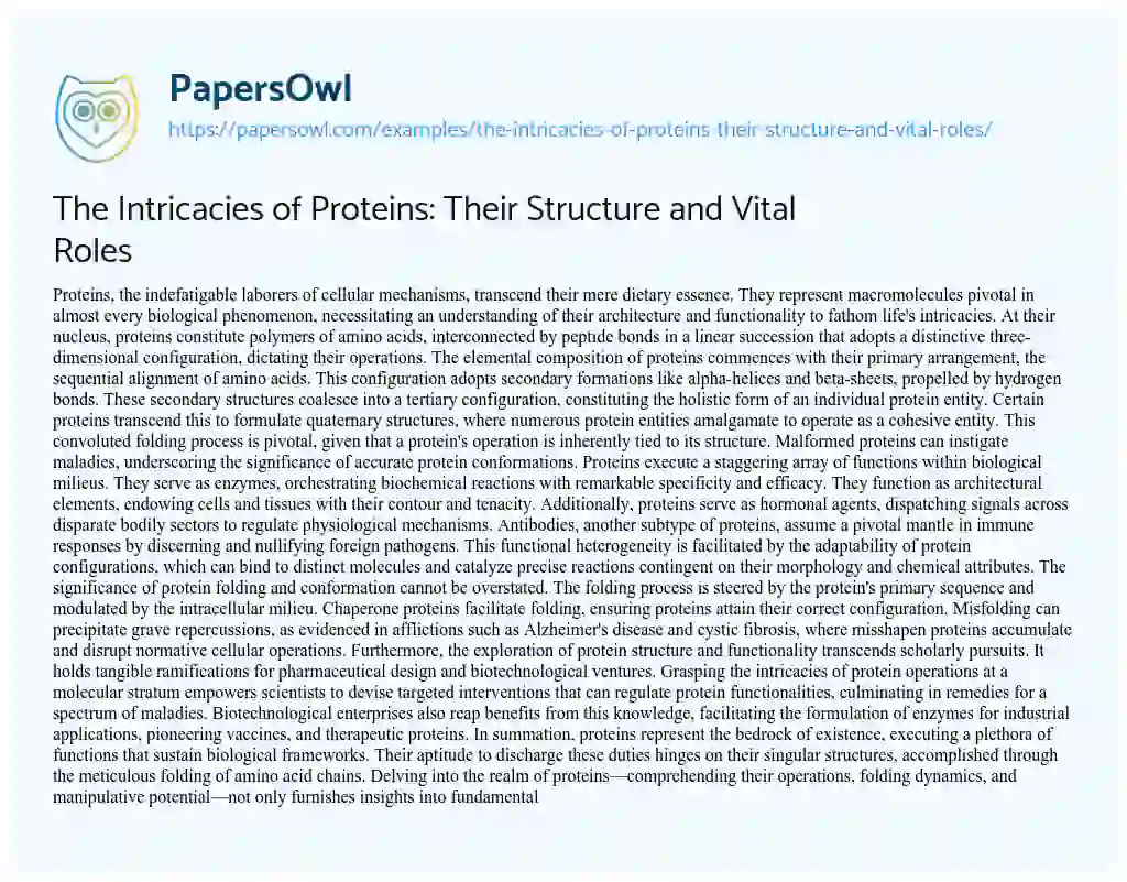 Essay on The Intricacies of Proteins: their Structure and Vital Roles