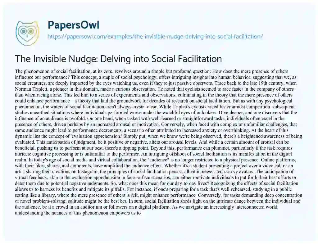 Essay on The Invisible Nudge: Delving into Social Facilitation