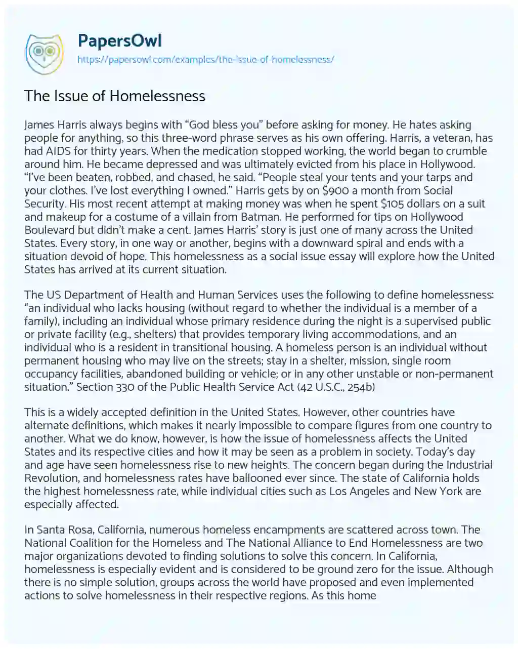 The Issue of Homelessness essay