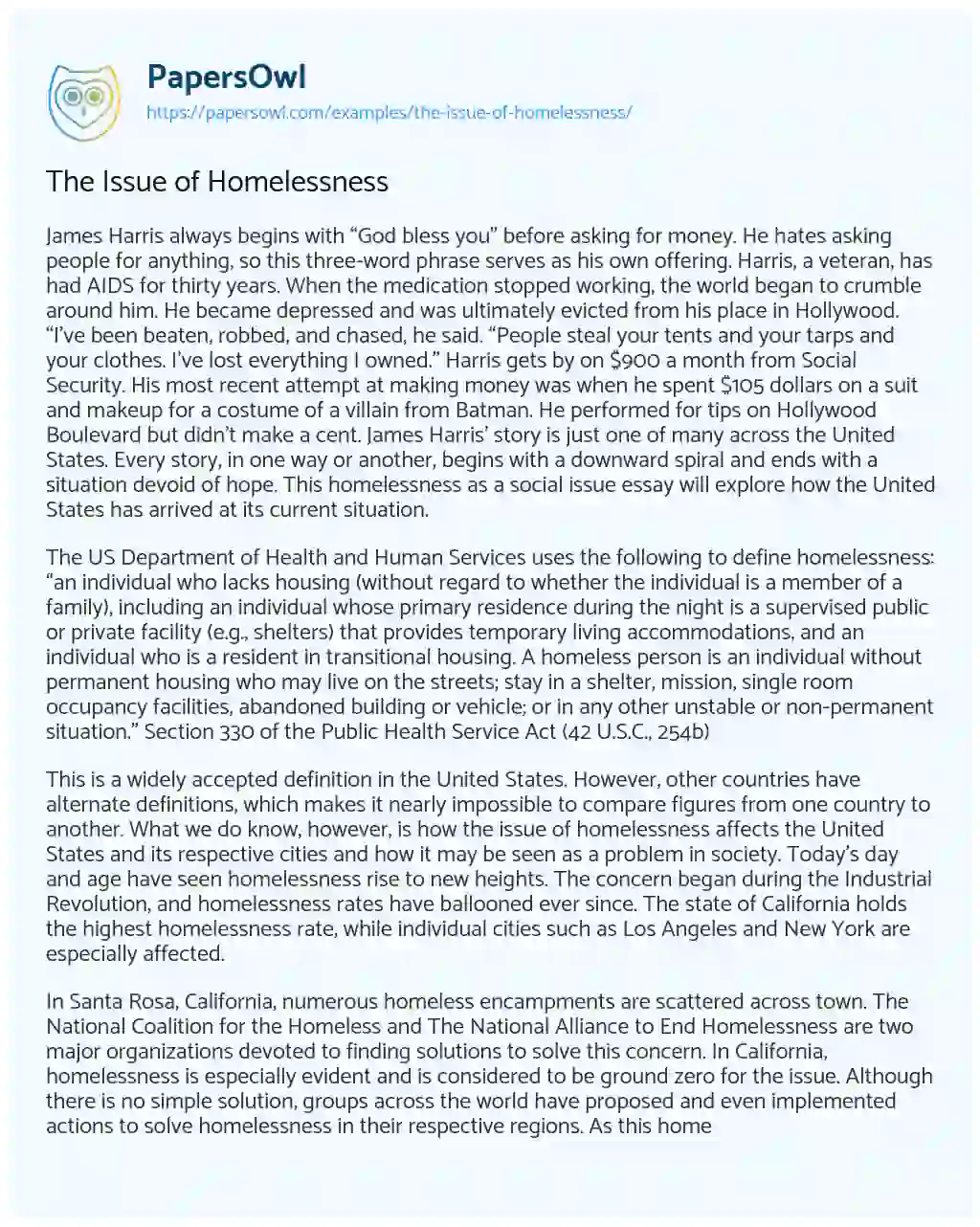 Essay on The Issue of Homelessness