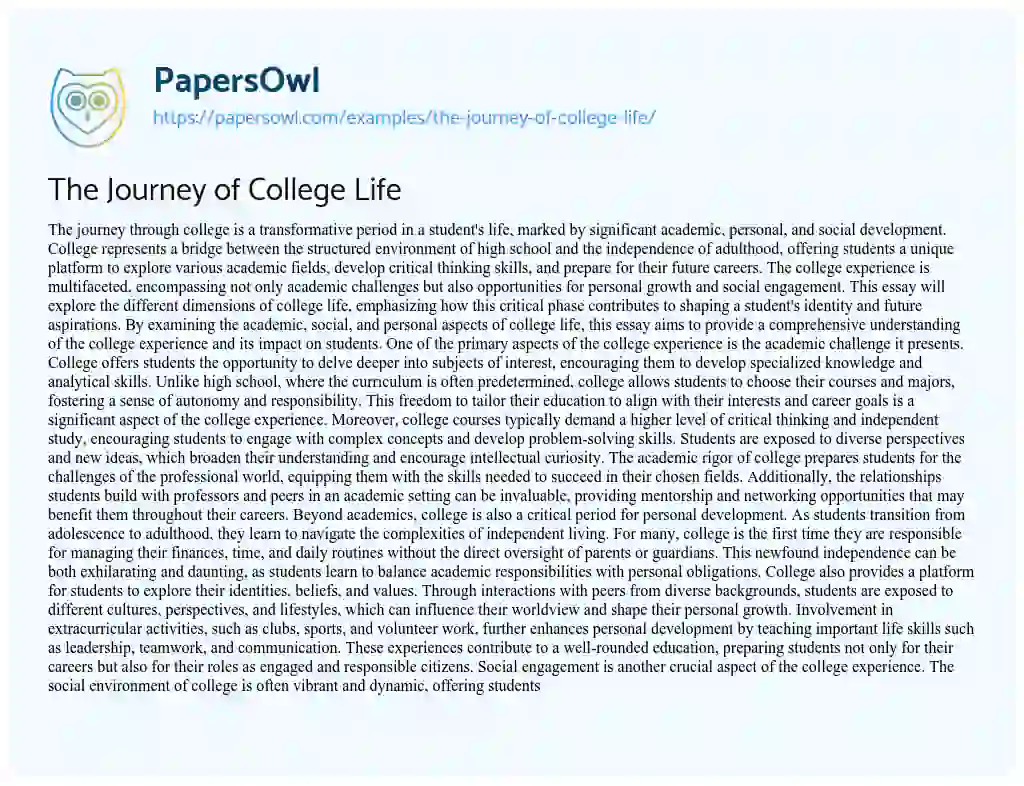 Essay on The Journey of College Life