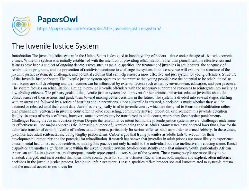 Essay on The Juvenile Justice System
