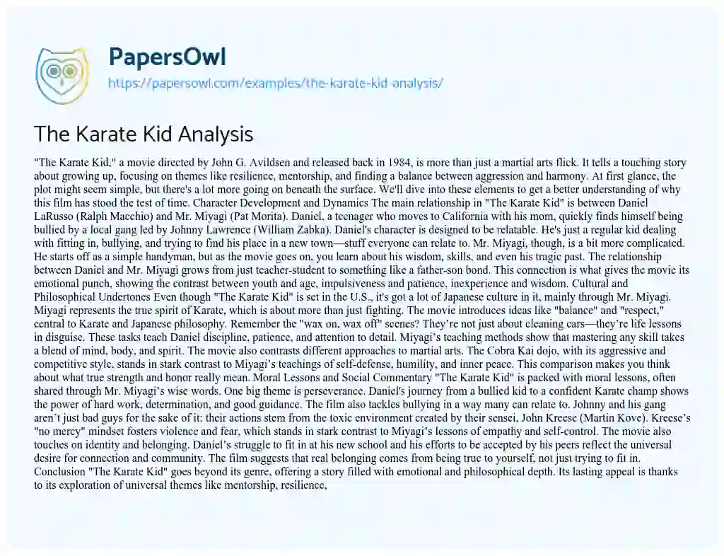 Essay on The Karate Kid Analysis