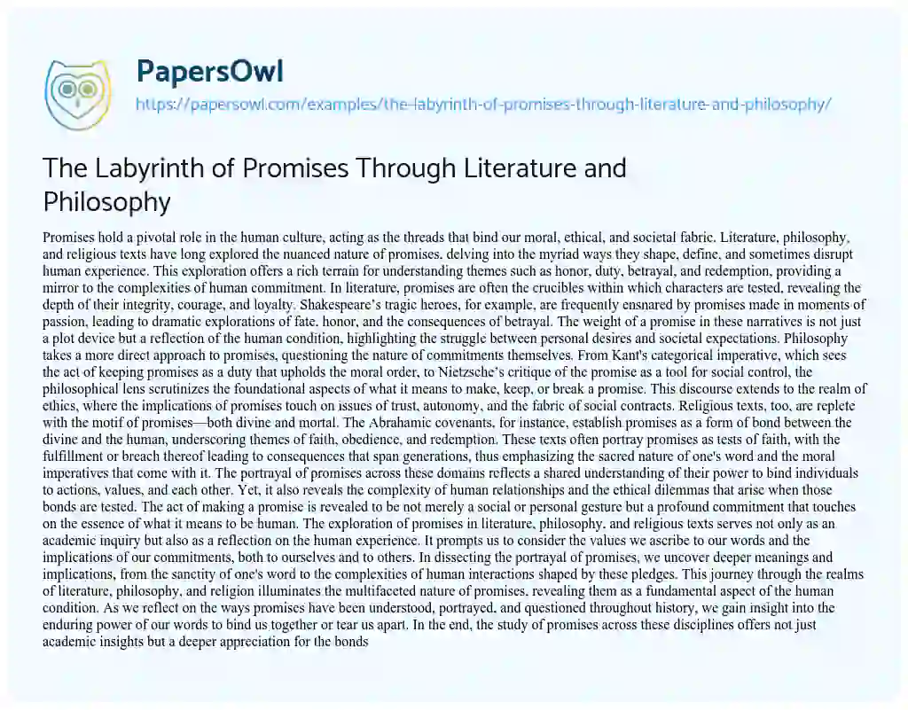 Essay on The Labyrinth of Promises through Literature and Philosophy