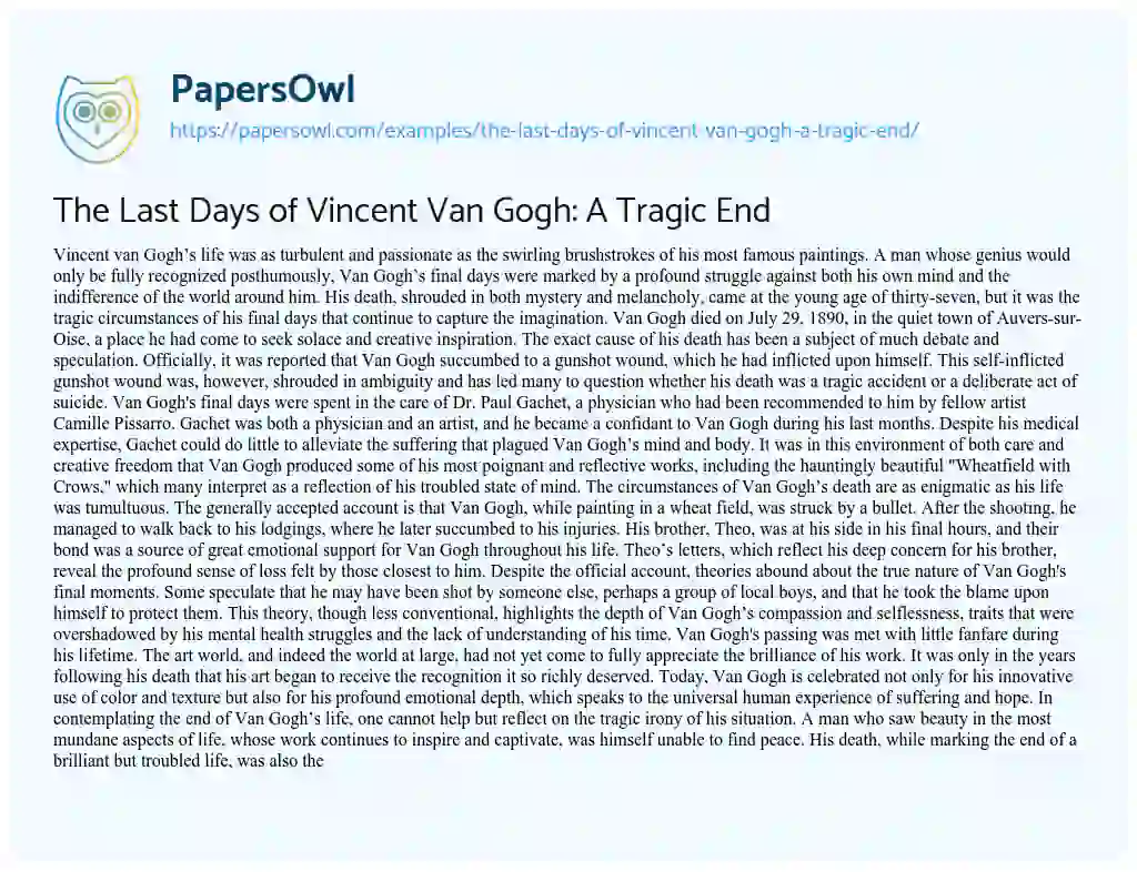 Essay on The Last Days of Vincent Van Gogh: a Tragic End