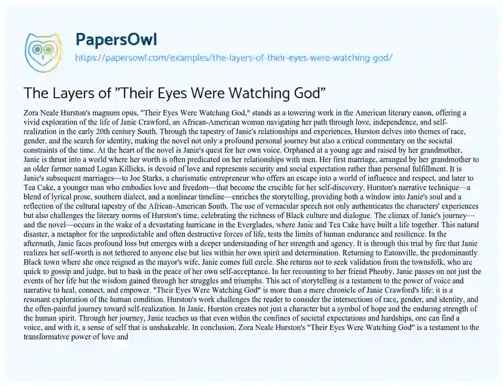 Essay on The Layers of “Their Eyes were Watching God”