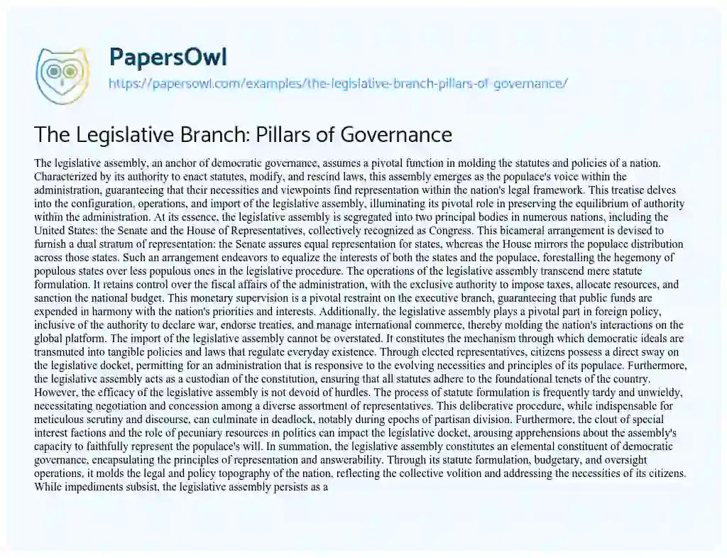 Essay on The Legislative Branch: Pillars of Governance