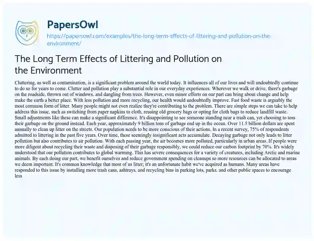 Essay on The Long Term Effects of Littering and Pollution on the Environment