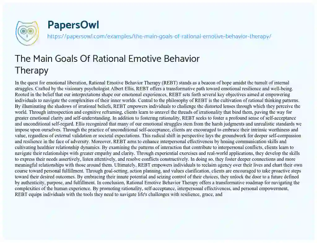Essay on The Main Goals of Rational Emotive Behavior Therapy