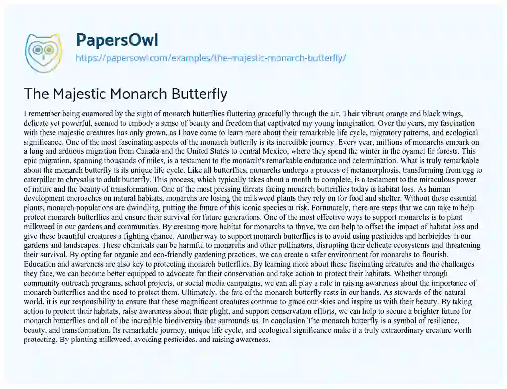 Essay on The Majestic Monarch Butterfly