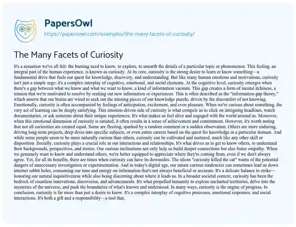 Essay on The Many Facets of Curiosity
