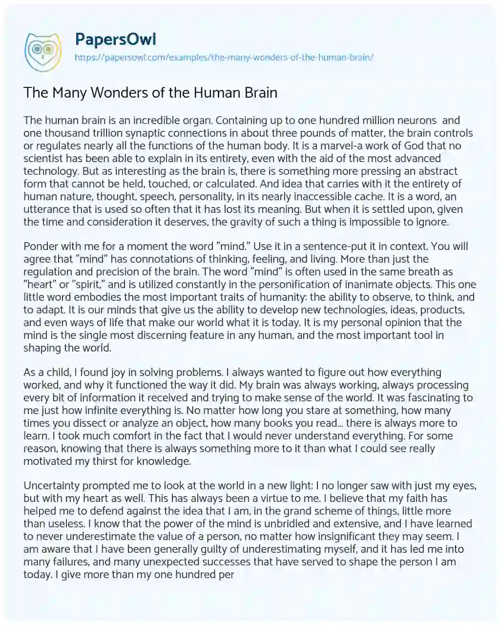 Essay on The Many Wonders of the Human Brain