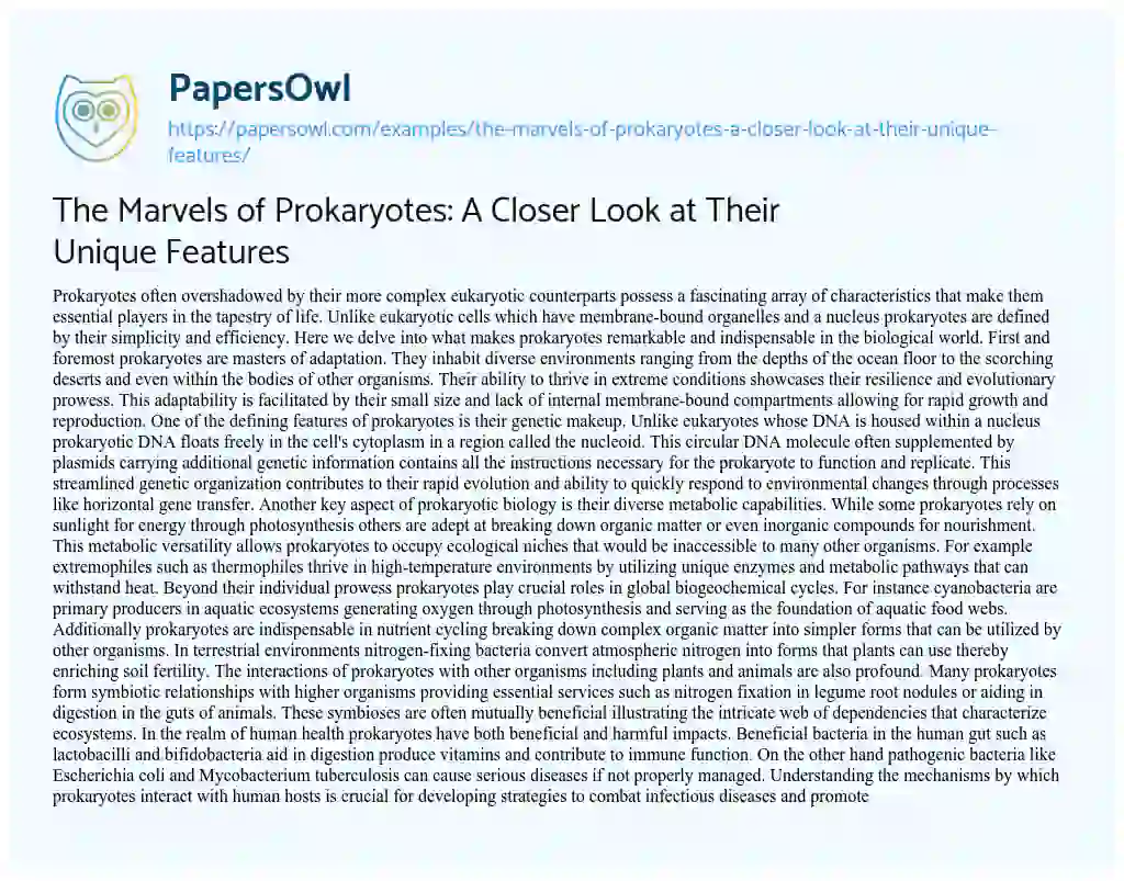 Essay on The Marvels of Prokaryotes: a Closer Look at their Unique Features