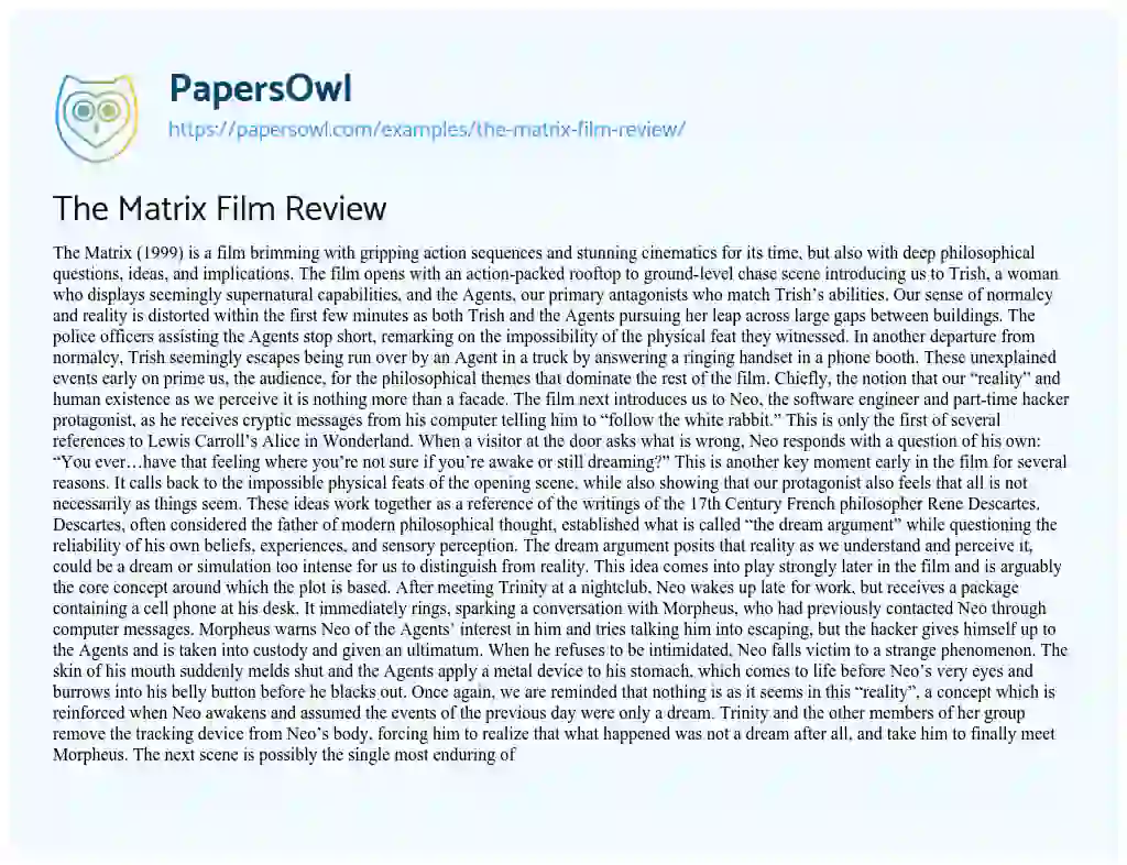 Essay on The Matrix Film Review