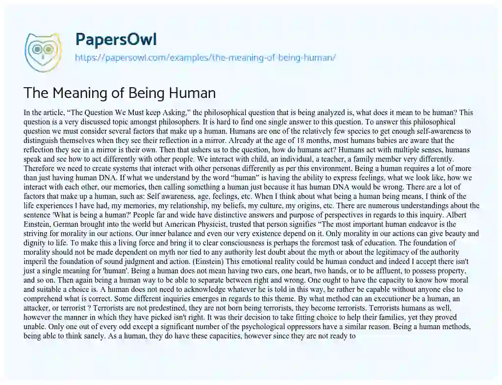 Essay on The Meaning of being Human