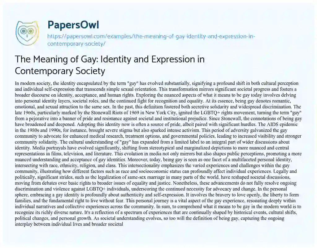 Essay on The Meaning of Gay: Identity and Expression in Contemporary Society
