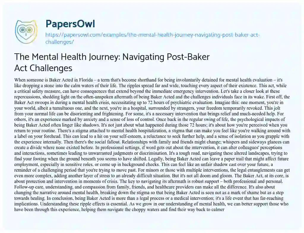 Essay on The Mental Health Journey: Navigating Post-Baker Act Challenges