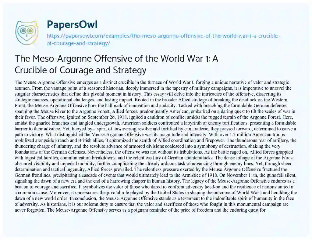 Essay on The Meso-Argonne Offensive of the World War 1: a Crucible of Courage and Strategy